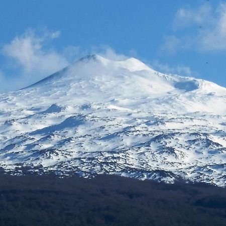 Casa Vacanze I Mori マスカリ エクステリア 写真